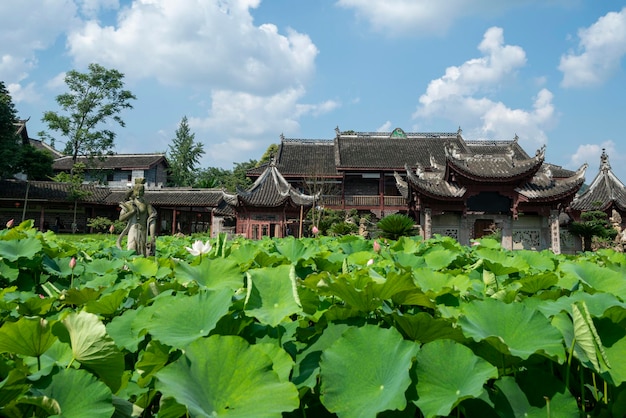 Paysage de jardin d'architecture ancienne chinoise et étangs remplis de fleurs de lotus