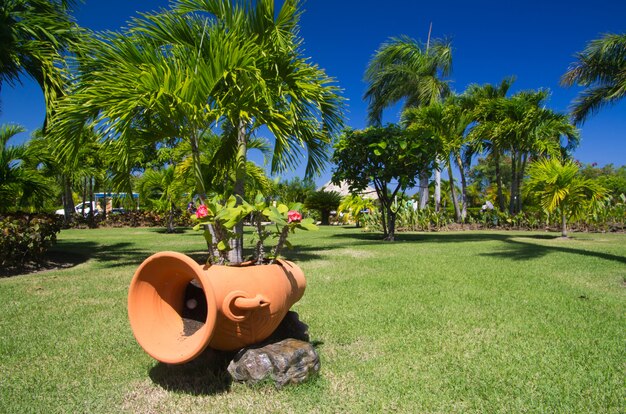 Paysage de jardin