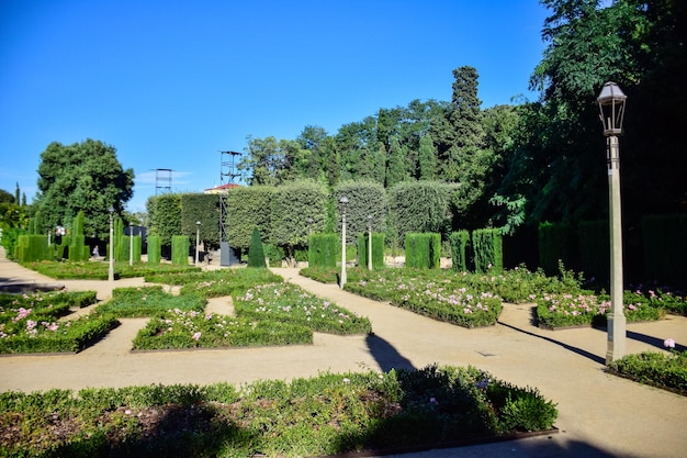 Paysage de jardins et d'arbres avec la mer Méditerranée en arrière-plan