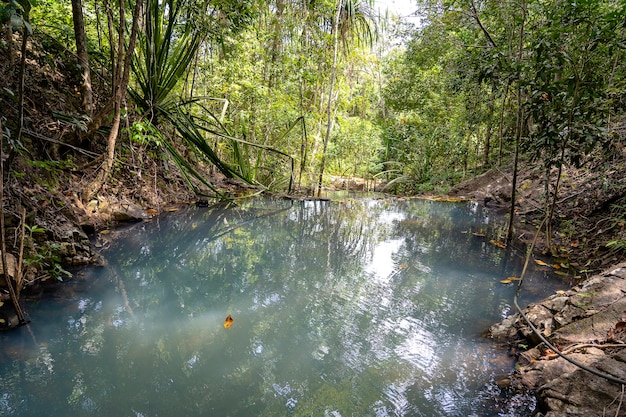 Paysage de jungle avec de l'eau turquoise qui coule de la cascade en cascade dans la forêt tropicale profonde. Île de Koh Phangan, Thaïlande