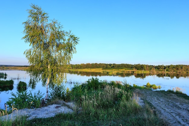 Paysage de lac d'été en soirée avec des reflets sur la surface de l'eau et le bouleau.