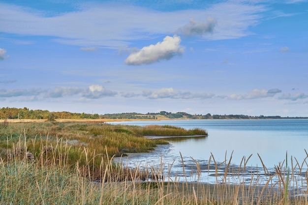 Paysage de lac de mer ou de côte sur fond de ciel avec nuages et espace de copie Marécage avec roseaux et herbe sauvage poussant sur un lac vide à l'extérieur Calme paisible et belle vue panoramique dans la nature