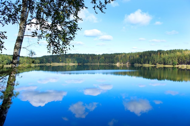 paysage avec un lac pittoresque dans la forêt et la réflexion sur la surface de l'eau