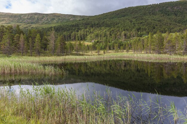 Paysage de lac rural, Norvège, Olden, bord de mer de collines verdoyantes. fjord en été.