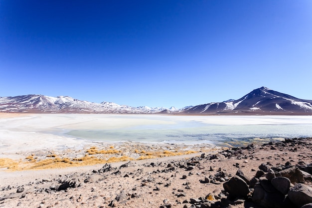 Paysage de Laguna Blanca, Bolivie. Beau panorama bolivien. Lagon blanc et volcan Licancabur