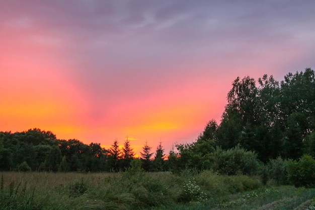 Paysage en Lettonie Vue panoramique sur la nature à la lumière du coucher du soleil L'été à la campagne