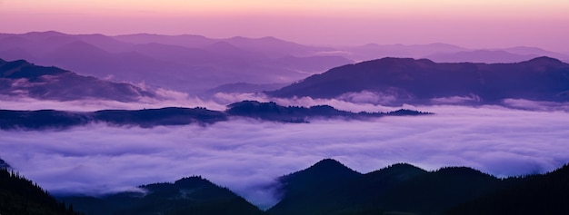 Paysage de lever de soleil d'été des montagnes des Carpates avec vue panoramique sur la rive brumeuse
