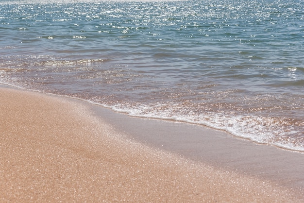 Paysage de lieu de voyage avec la nature à une plage jaune et mer bleue tropicale