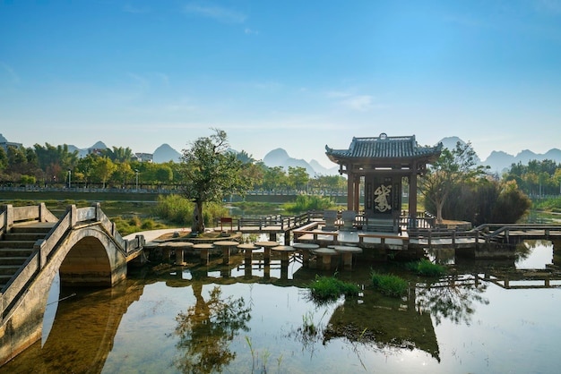 Paysage de Longtan Wetland Park Jingxi Guangxi ChinaChinese traduction Goose