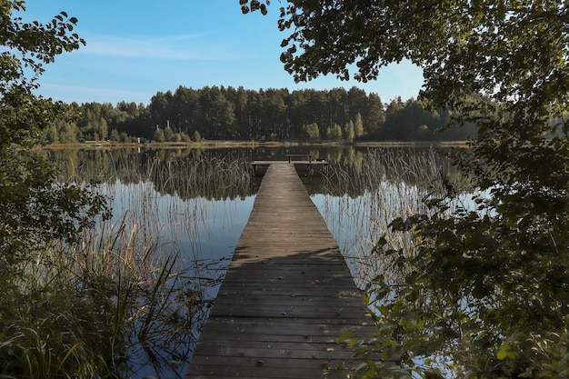 Paysage avec longue jetée en bois en perspective bois du lac à l'horizon et ciel bleu clair en été