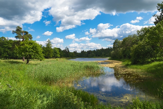 Paysage lumineux d'été avec un lac, de la verdure et des nuages.