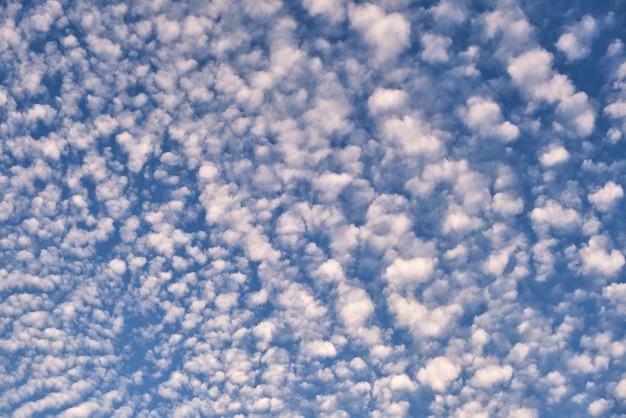 Paysage lumineux de nuages gonflés blancs répartis sur un ciel bleu clair.