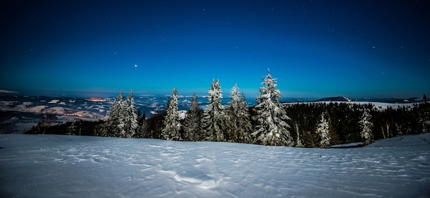 Paysage magique envoûtant de grands sapins enneigés poussant parmi les congères sur les collines contre un ciel étoilé bleu. Concept d'une belle forêt de nuit. Espace de copie