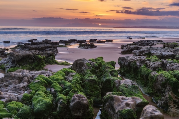 Paysage magique marin avant le coucher du soleil. Algues vertes sur les rochers. Plage d'Albufeira Gale.
