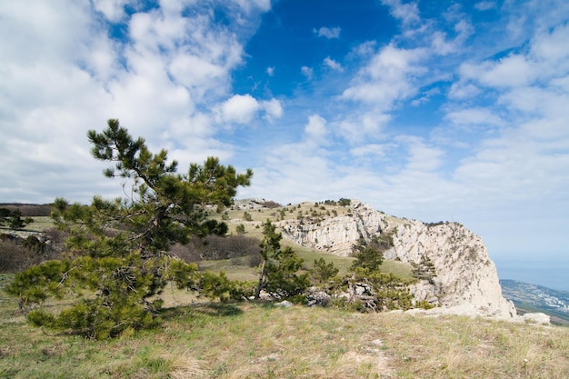 Un paysage magnifique et d'une beauté inhabituelle surplombant le haut plateau des montagnes de Crimée Nature propre et raisonnable du territoire ukrainien de Crimée occupé par la Fédération de Russie