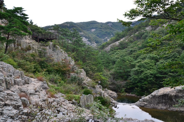 Le paysage magnifique du parc national de Byeonsan Bando en Corée du Sud