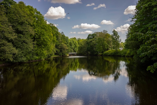 Un paysage magnifique avec une vue sur le lac entouré d'arbres et un ciel bleu avec de beaux nuages.