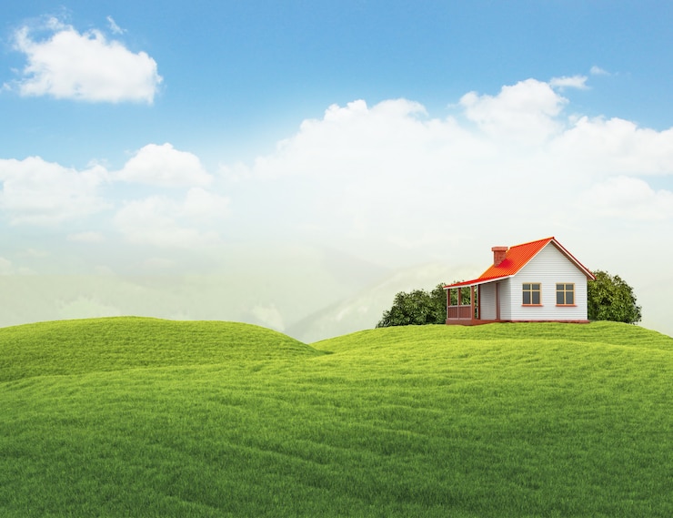 Photo paysage avec maison et buissons isolés sur blanc