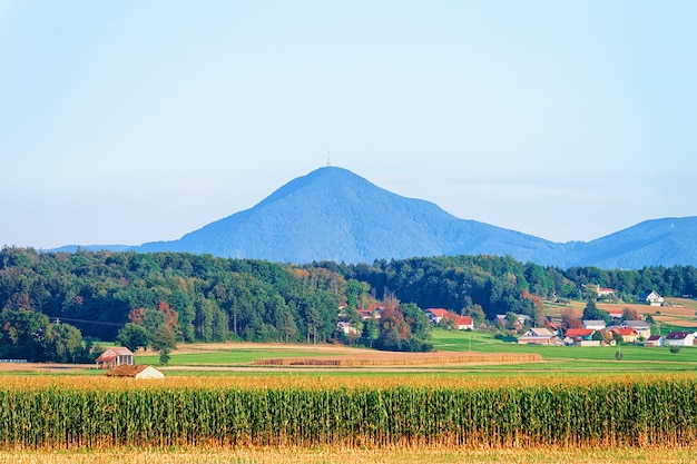 Paysage avec des maisons près des montagnes des Alpes juliennes en Slovénie.