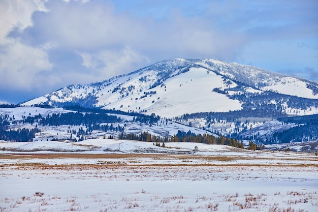 Paysage avec de majestueuses montagnes enneigées