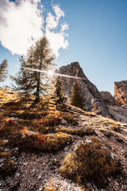 Paysage majestueux de l'automne rouge alpin Cinque Torri Passo Falzarego Tofana Magnifique paysage de randonnée dans la dolomite en Italie près de Cortina d'Ampezzo
