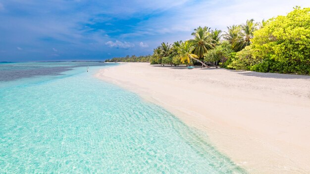 Paysage majestueux, rivage d'une île tropicale. Baie océanique calme, palmiers de sable et ciel bleu ensoleillé