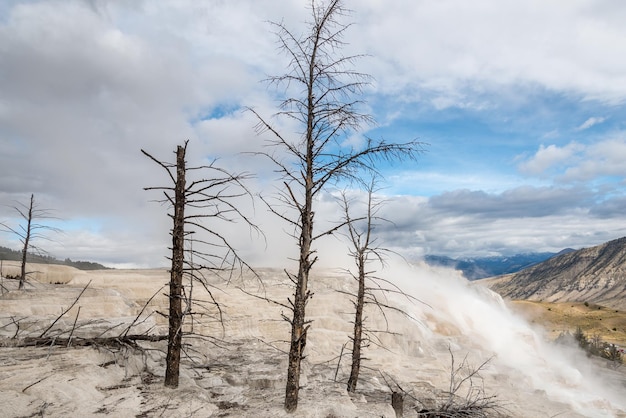 Paysage de Mammoth Hot Springs dans le parc national de Yellowstone