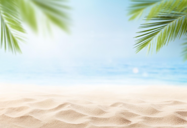 Photo paysage marin avec des branches de palmiers et du sable beige propre au premier plan
