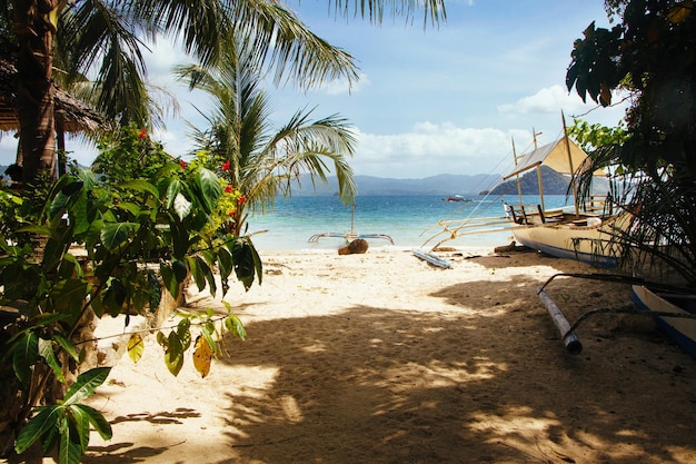 Photo paysage marin. climat tropical. mer et sable. plage déserte. philippines. bord de l'océan.