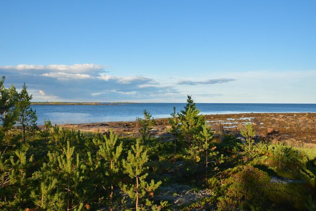 Paysage marin du Nord