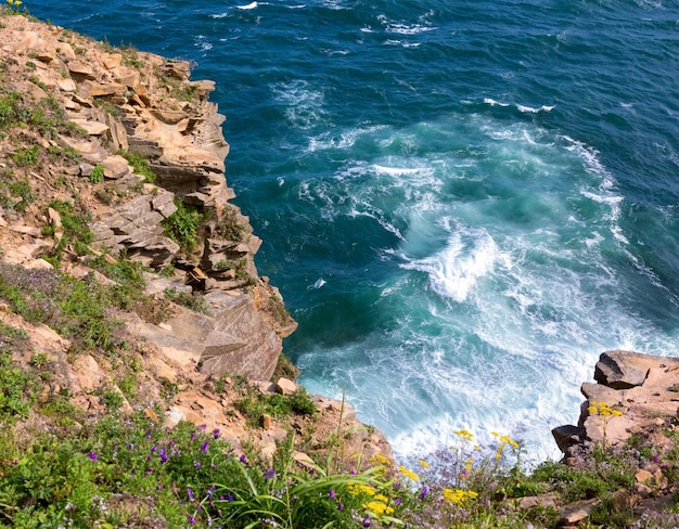 Paysage marin île russe Vladivostok Russie