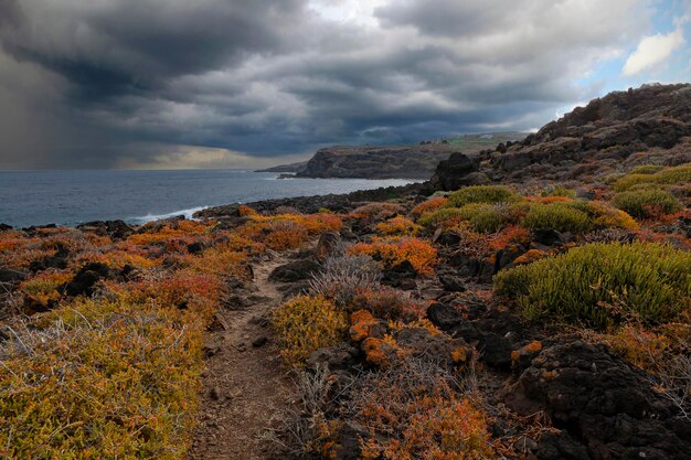 Le paysage marin de l'île de Tenerife Les îles Canaries