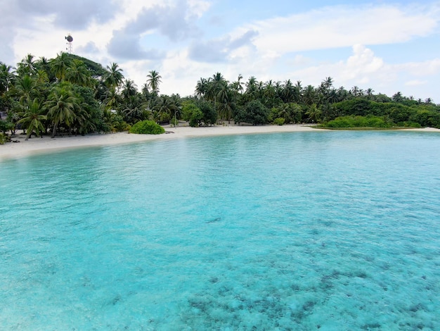 Paysage marin des îles Maldives bleues avec feuillage vert