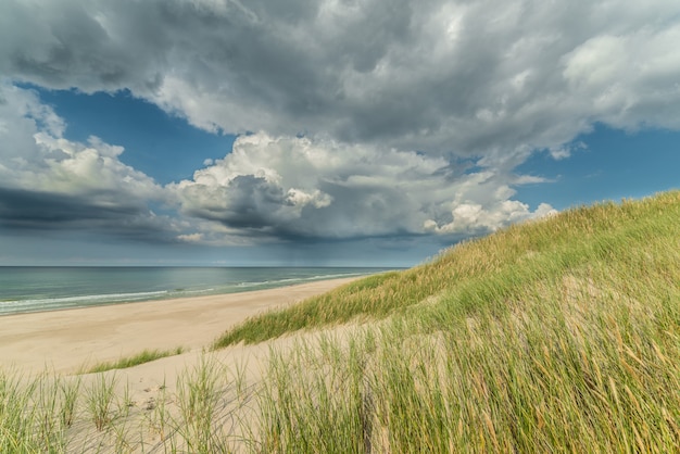 Paysage marin de la mer calme, plage vide avec peu d'herbes et ciel nuageux