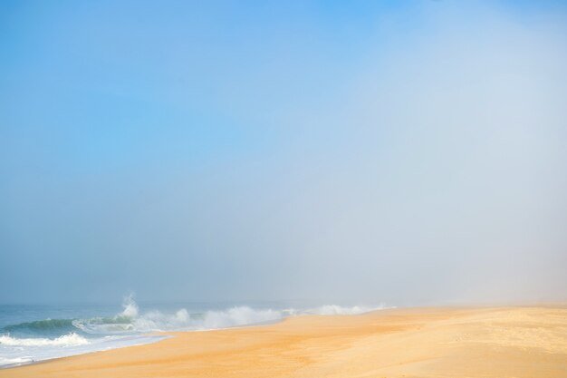 Paysage marin pittoresque avec plage brumeuse.