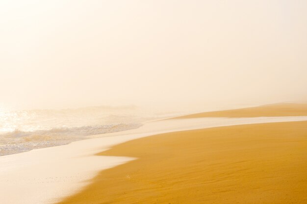 Paysage marin pittoresque avec plage brumeuse.