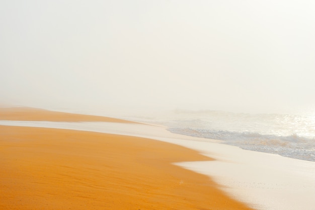 Paysage marin pittoresque avec plage brumeuse.