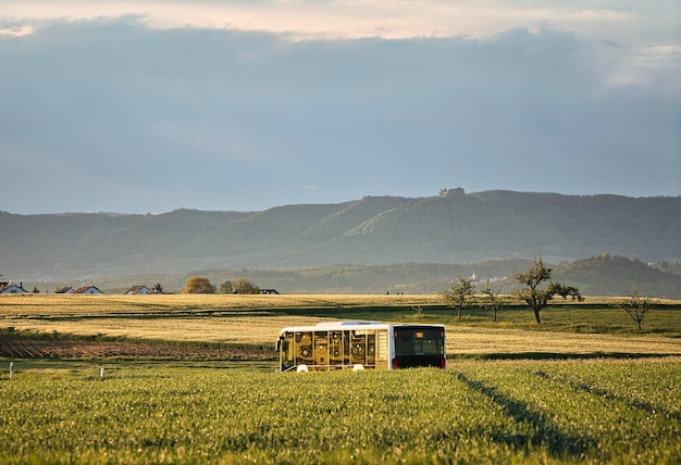 paysage le matin