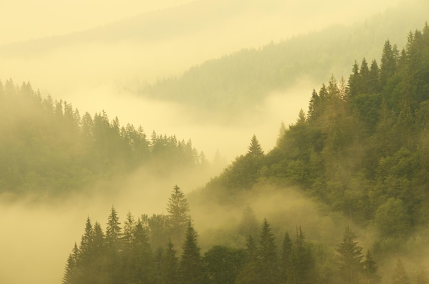 Paysage matinal aérien de montagne