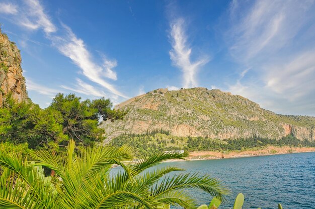 Paysage avec mer et arbres