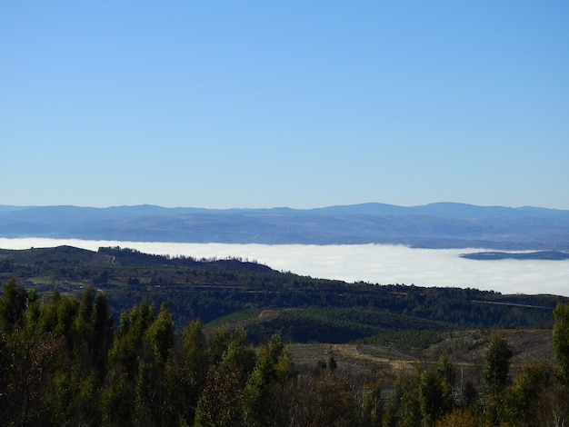 Paysage avec une mer de brouillard