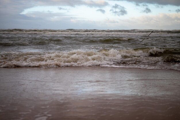 Photo paysage de la mer du nord en hiver