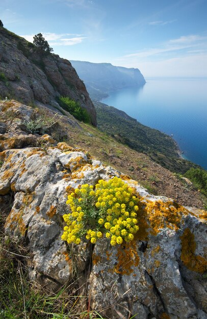 Paysage de mer de montagne Composition de la nature