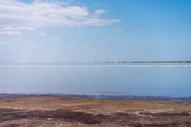 Paysage de mer sèche