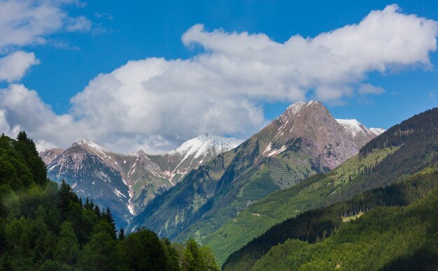 Paysage de montagne des Alpes d'été avec forêt de sapins sur la pente et sommets rocheux couverts de neige au loin, Autriche