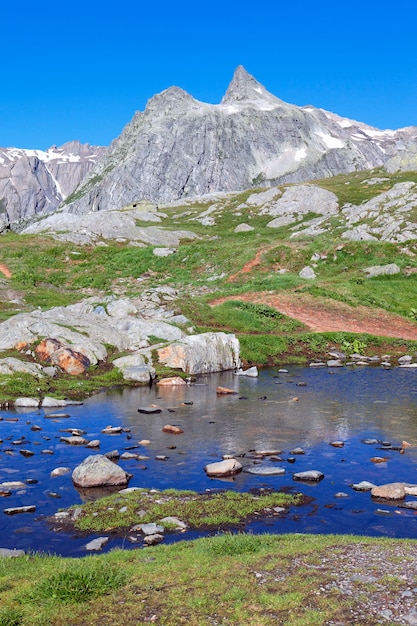 Paysage de montagne alpine italienne en été