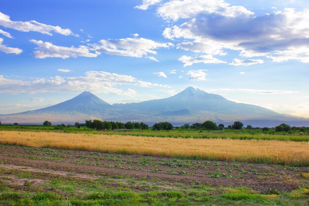 Paysage de montagne Ararat