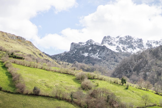 Paysage de la montagne asturienne Teverga avec des champs verts et de la neige sur les sommets.