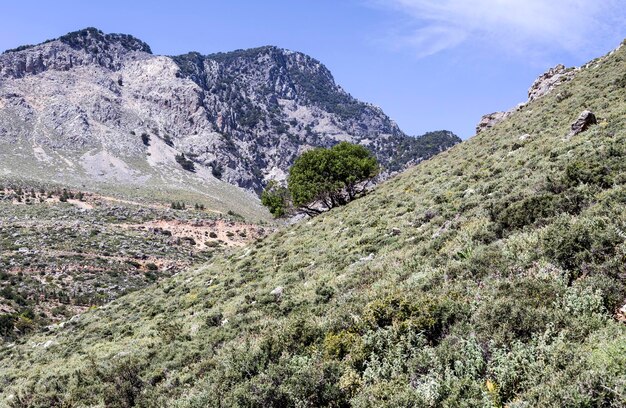 Paysage de montagne Au pied d'une haute montagne Grèce île de Crète