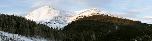 Paysage de montagne à l'aube d'hiver (Ukraine, Monts des Carpates, Montagne Petros)